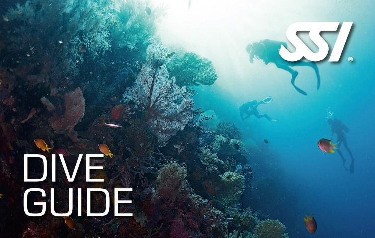 Advanced wreck diving | Centro immersioni Morski Puz Rovigno | Istria