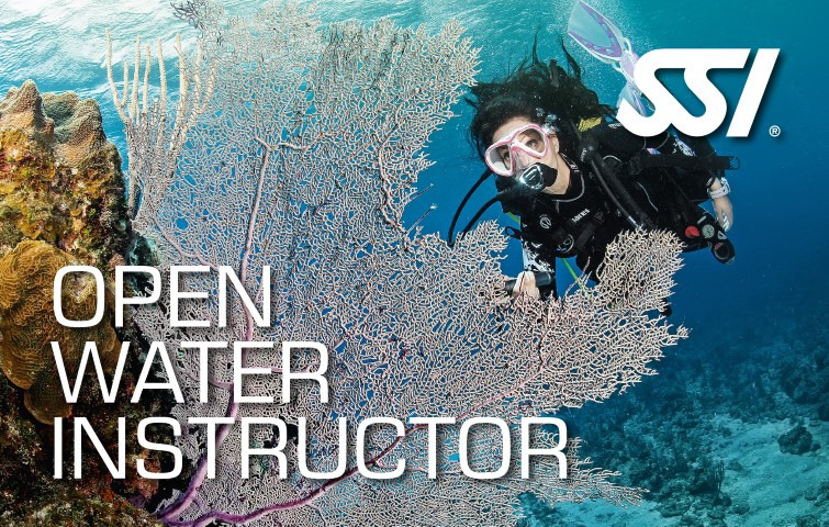 Instructor Training Course | Diving Center Morski Puz Rovinj | Istria